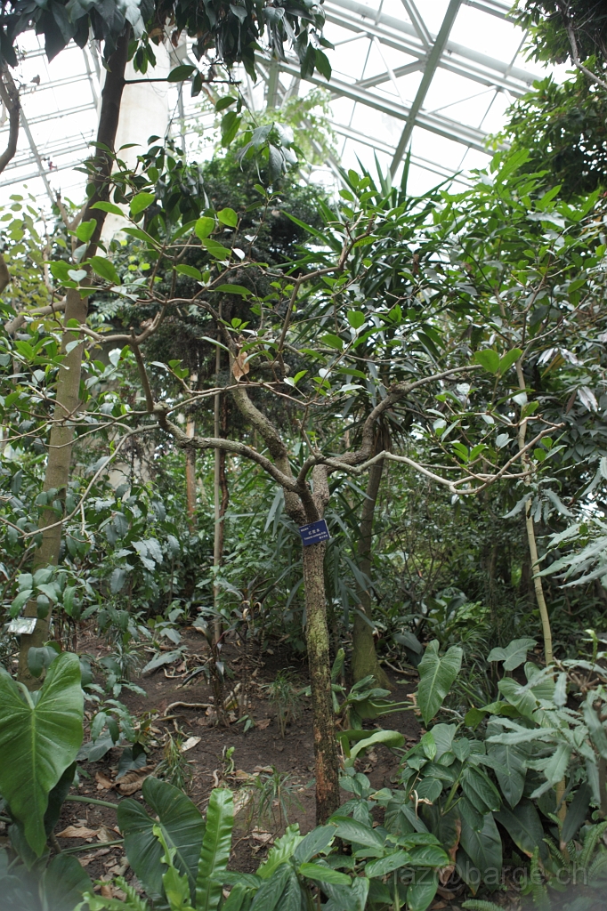 EOS 5D Mark II16_04_20134974.JPG